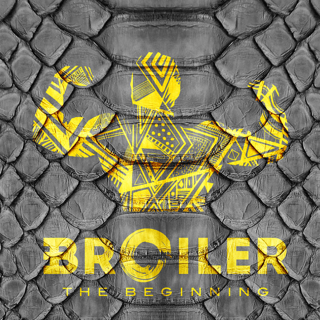 The Beginning (2013) cover