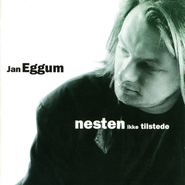 Nesten ikke tilstede (1993) cover