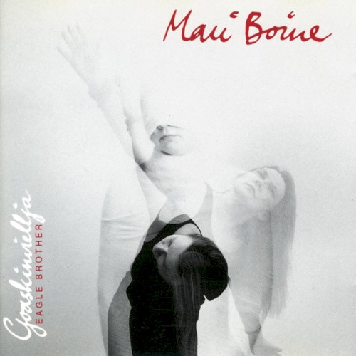 Goaskinviellja (1993) cover