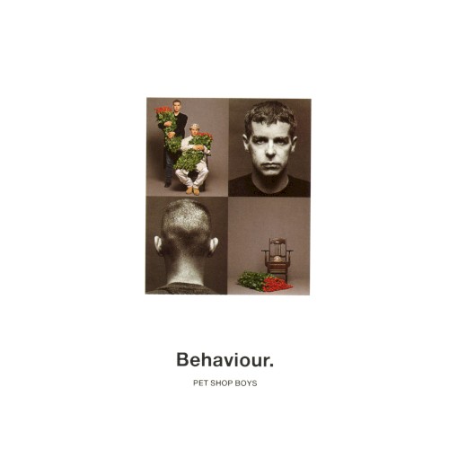 Behaviour (1990) cover