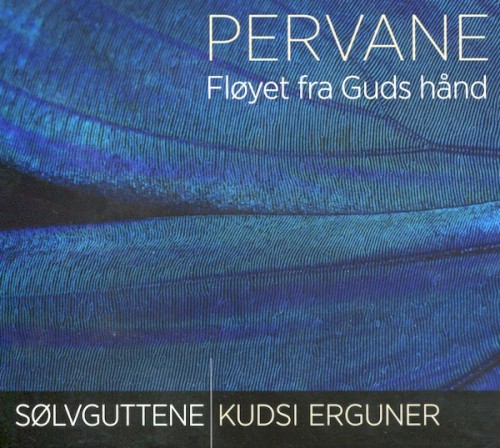 Pervane: Fløyet fra Guds hånd (2013) cover
