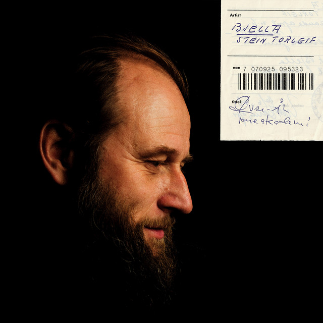 Øvre-Ål Toneakademi (2020) cover
